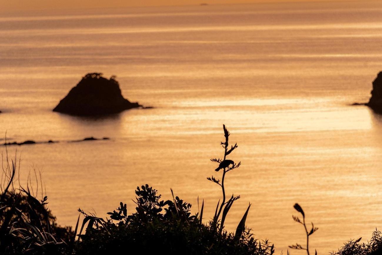 Cathedral Cove And Sunrise Apartamento Hahei Exterior foto